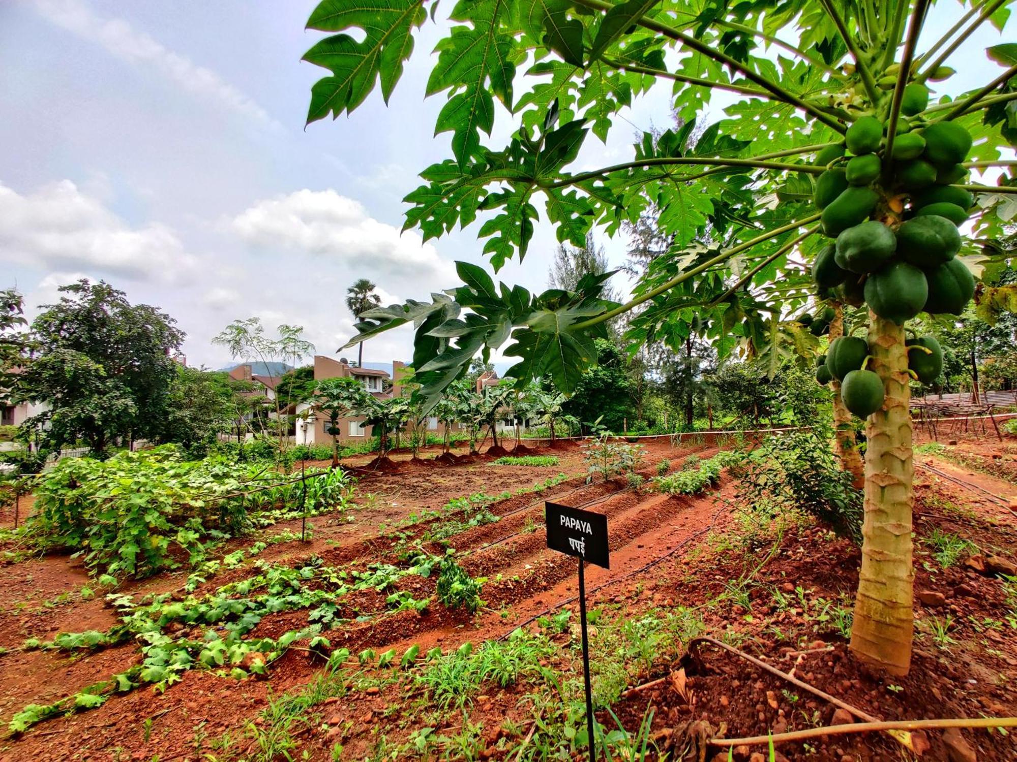 Pushpam Sanskruti Resort Karjat - A Pure Veg Resort Dhamni 외부 사진