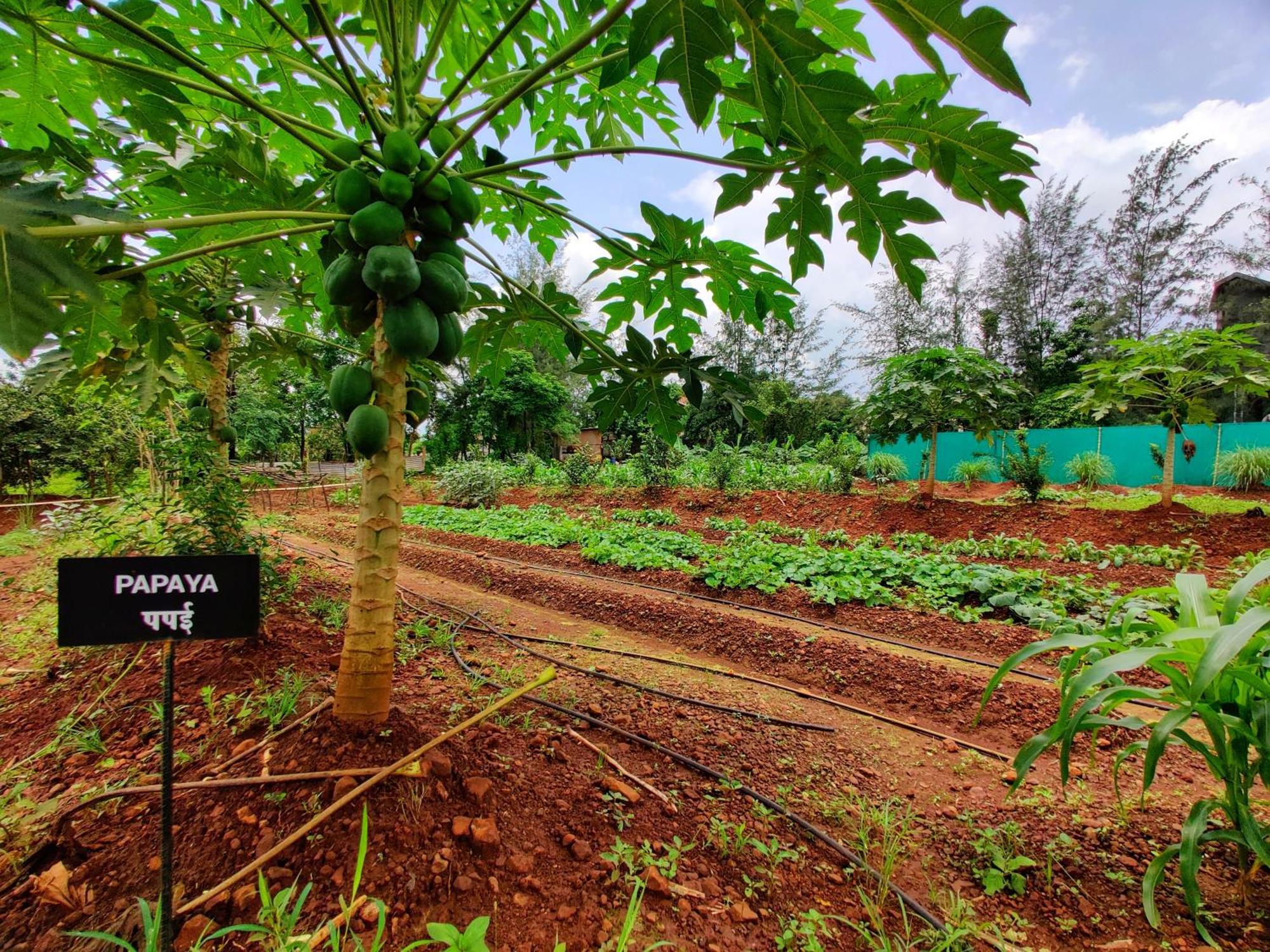Pushpam Sanskruti Resort Karjat - A Pure Veg Resort Dhamni 외부 사진