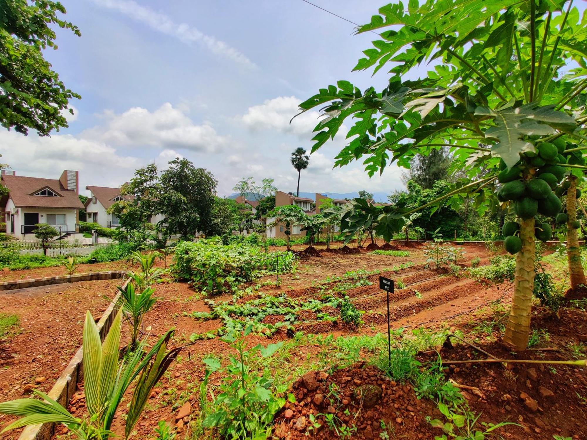 Pushpam Sanskruti Resort Karjat - A Pure Veg Resort Dhamni 외부 사진